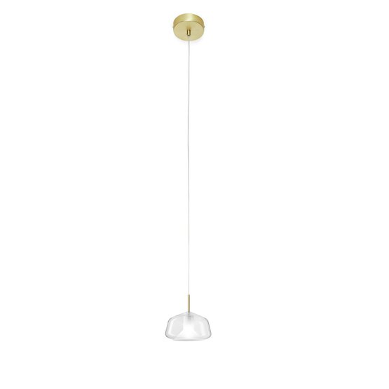 X-Ray suspended lamp , Pendant light in transparent glass with elements in brushed gold